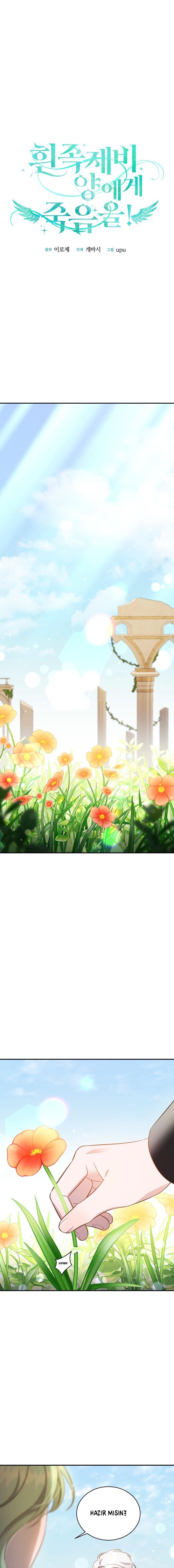 2-cm2xdfr0s0001tt82570od8ls