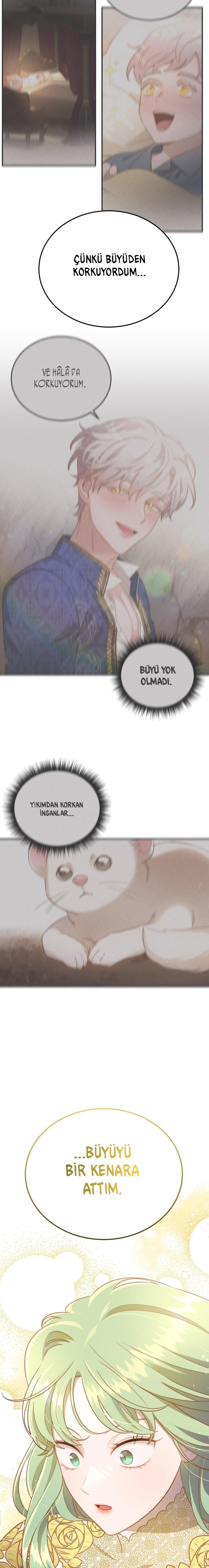 21-cm2xdfr0s0001tt82570od8ls
