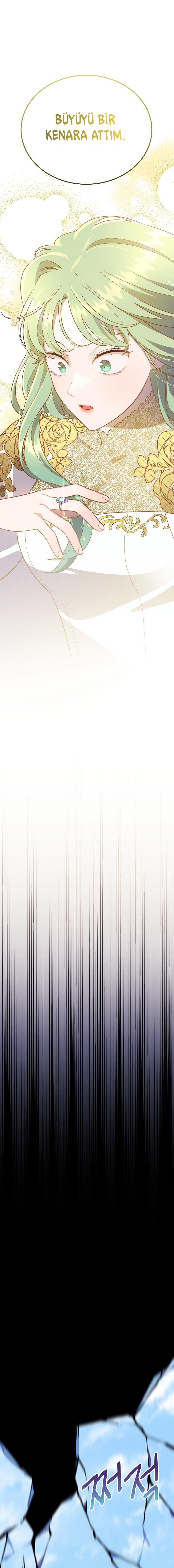 2-cm2xdfr0s0001tt82570od8ls