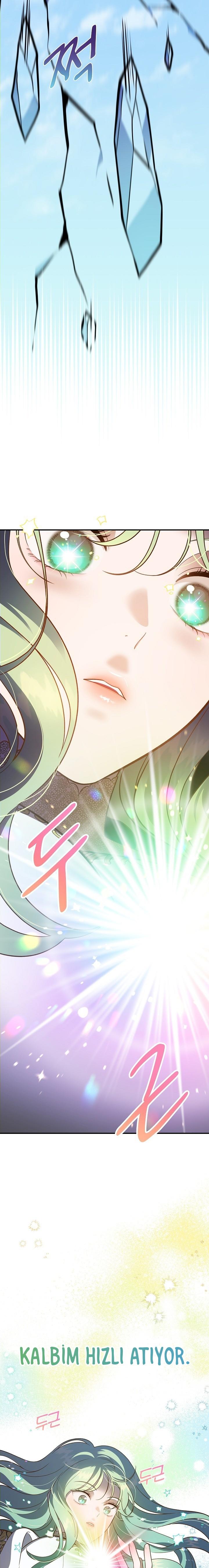 3-cm2xdfr0s0001tt82570od8ls