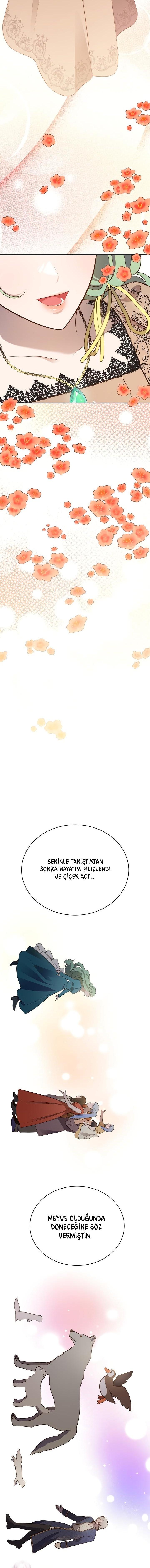 21-cm2xdfr0s0001tt82570od8ls