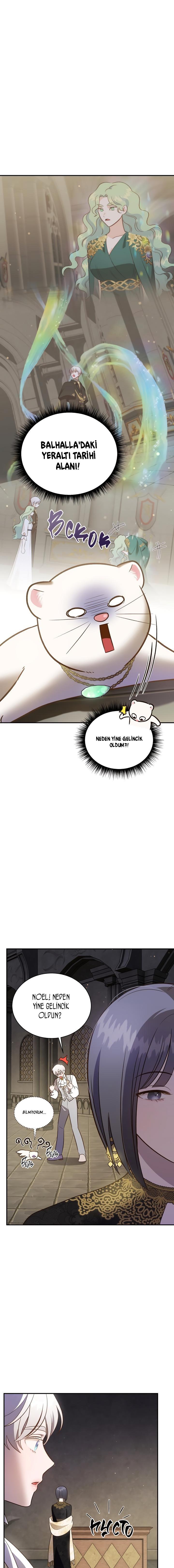 6-cm2xdfr0s0001tt82570od8ls
