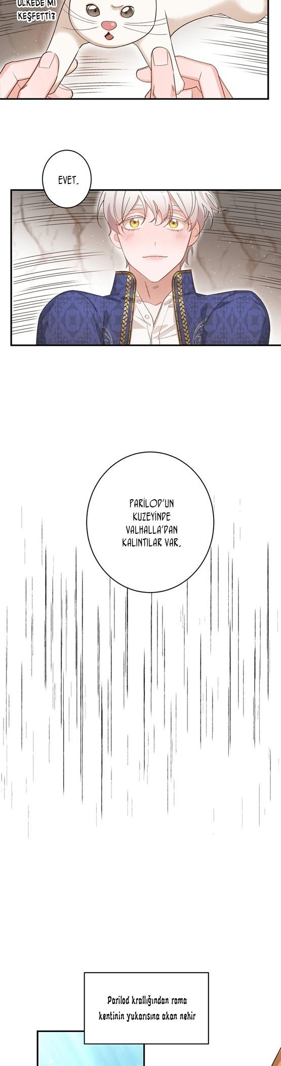 20-cm2xdfr0s0001tt82570od8ls