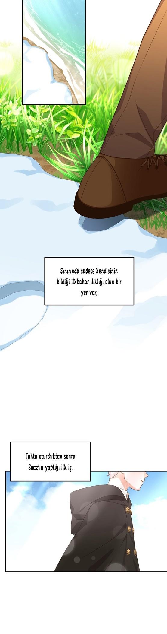 21-cm2xdfr0s0001tt82570od8ls