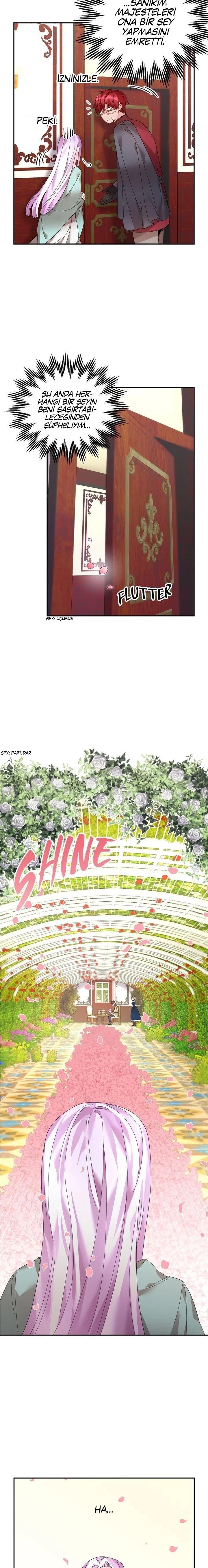 11-cmc1vvo430025phxcd4xhnki2
