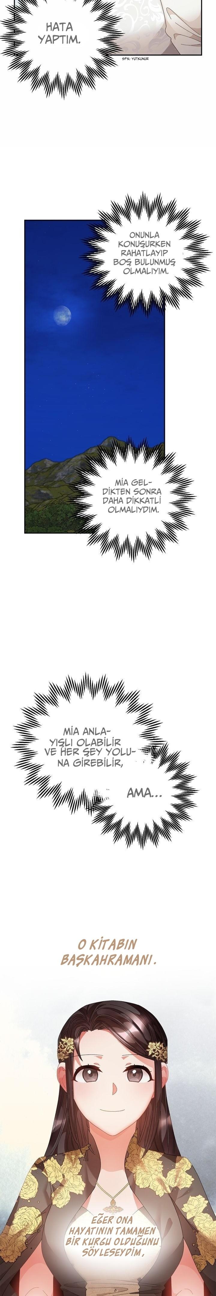 3-cmc1vvo430025phxcd4xhnki2