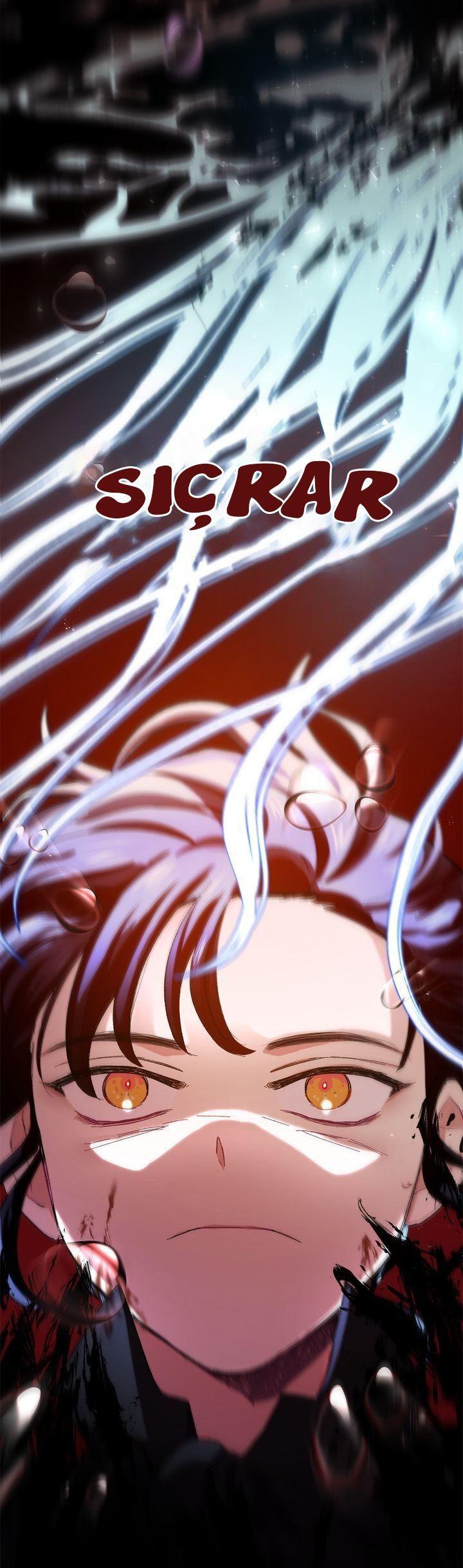 36-cmnq2268807i4ucwa0pciz3a1