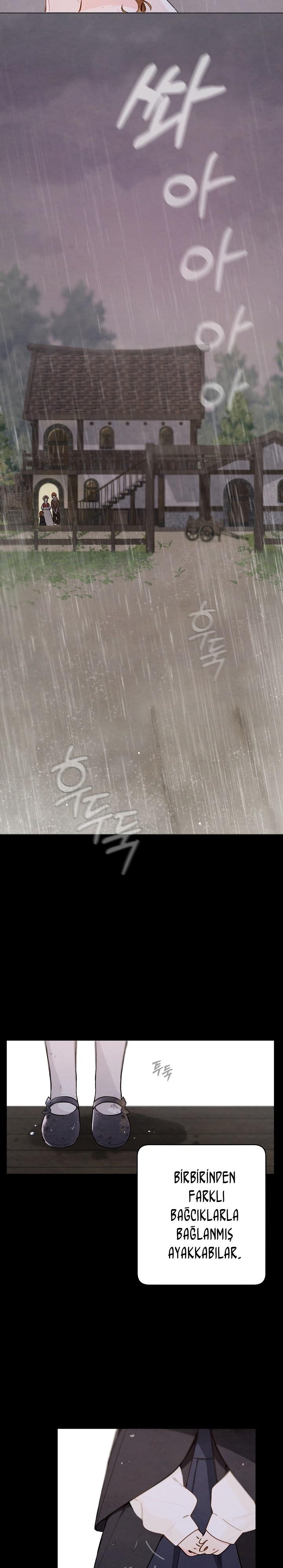 7-cmc1vvo430025phxcd4xhnki2