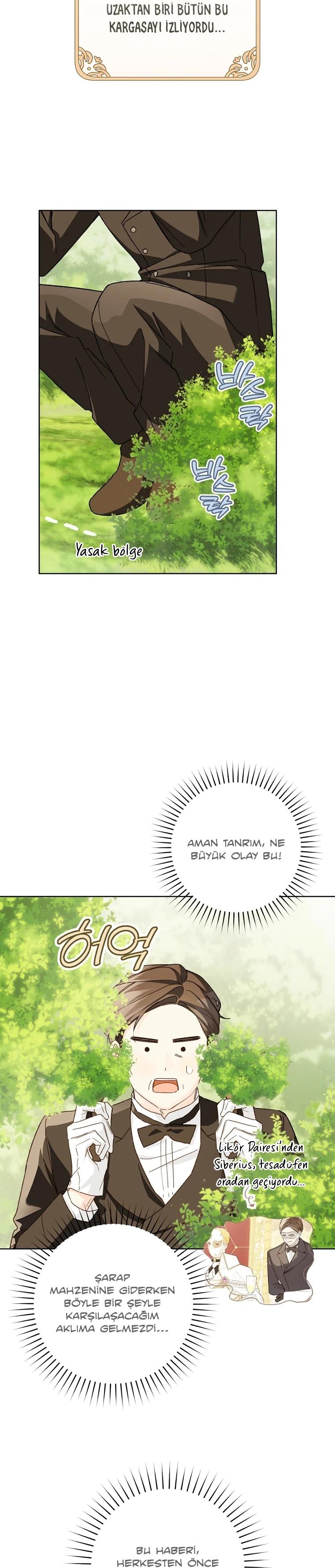 14-cmc1vvo430025phxcd4xhnki2