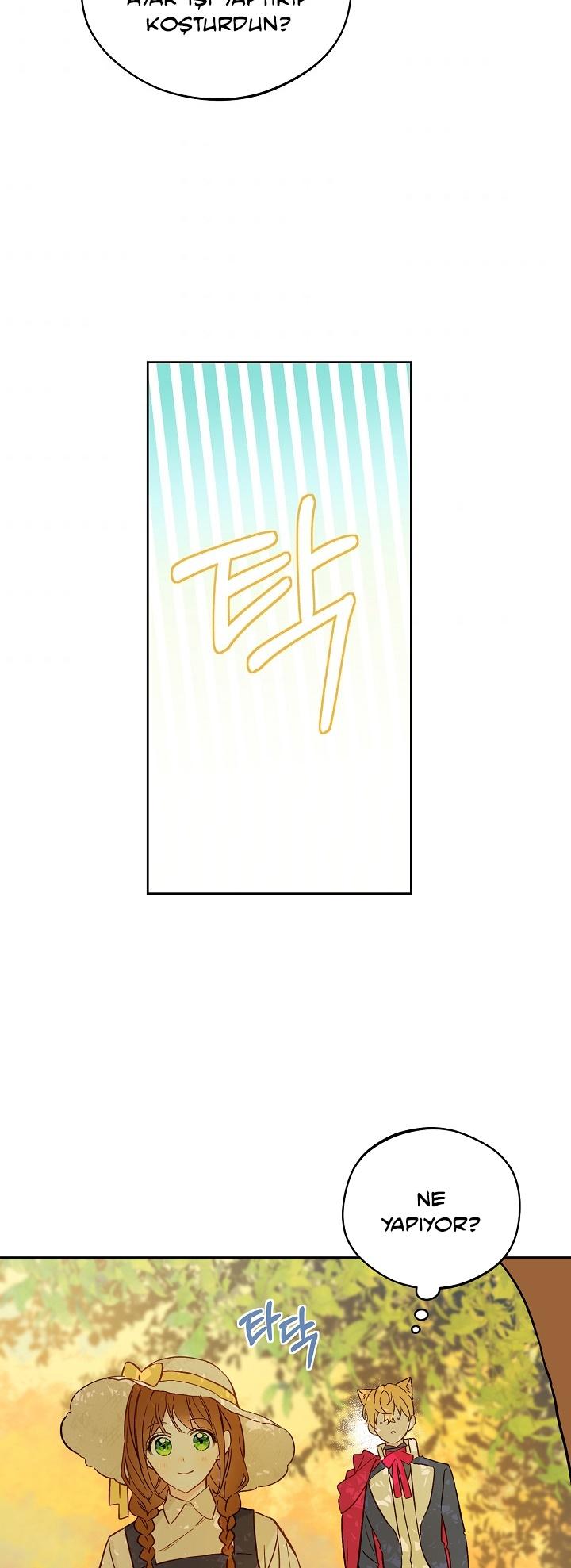 6-cmc1vvo430025phxcd4xhnki2