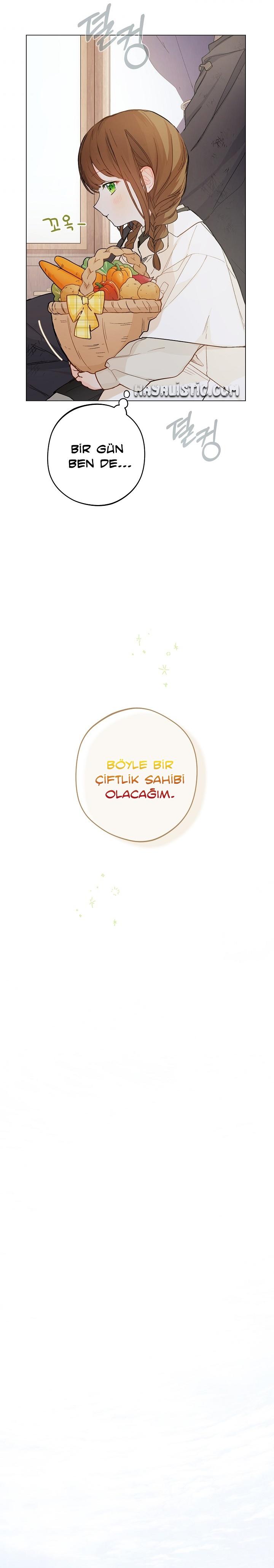 12-cmc1vvo430025phxcd4xhnki2