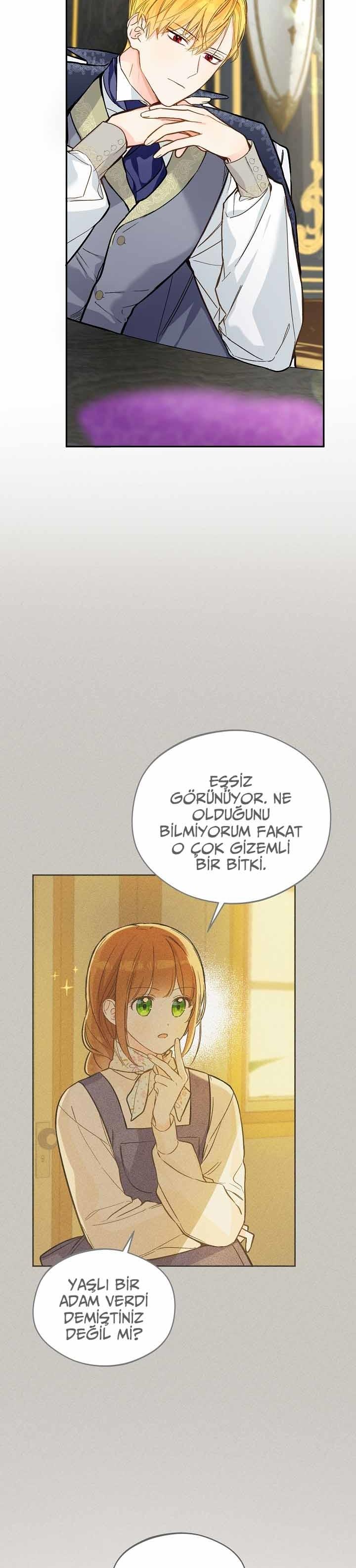 8-cmc1vvo430025phxcd4xhnki2