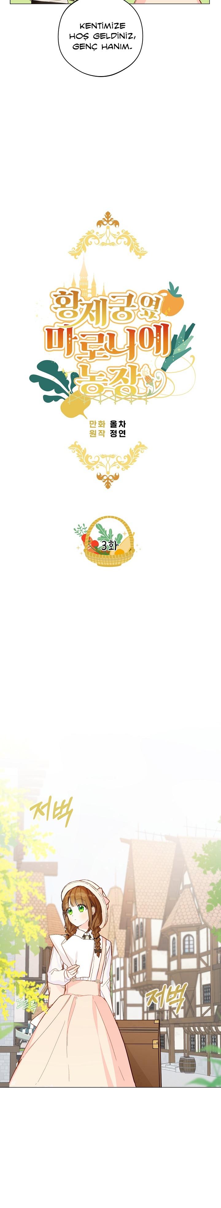 5-cmc1vvo430025phxcd4xhnki2