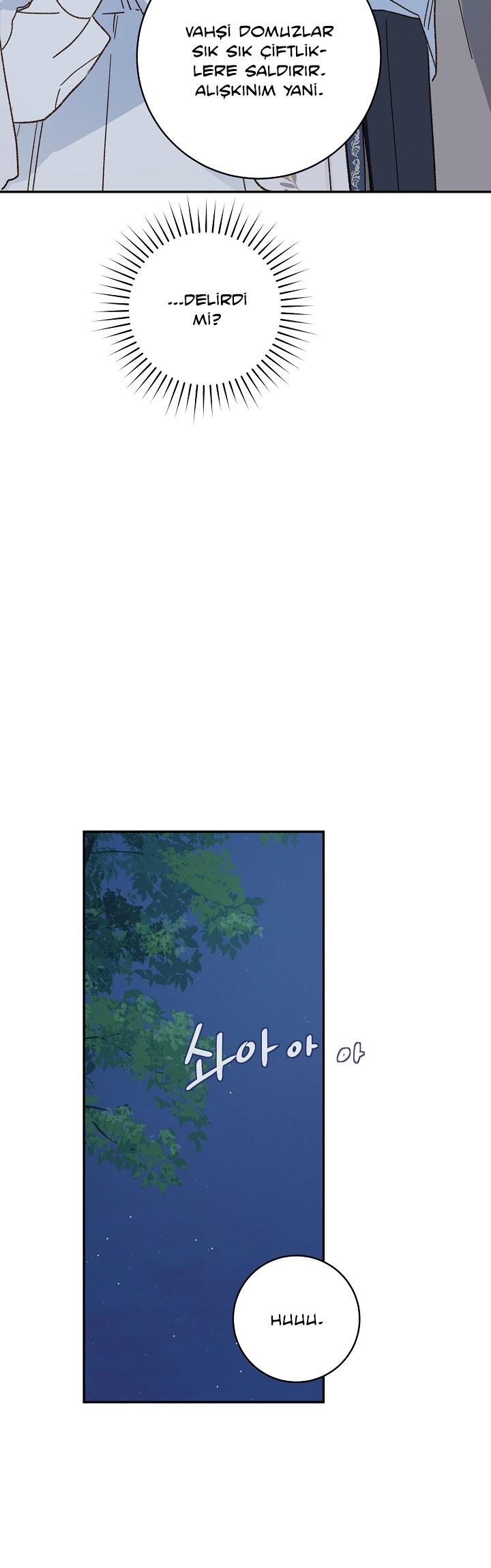 34-cmc1vvo430025phxcd4xhnki2