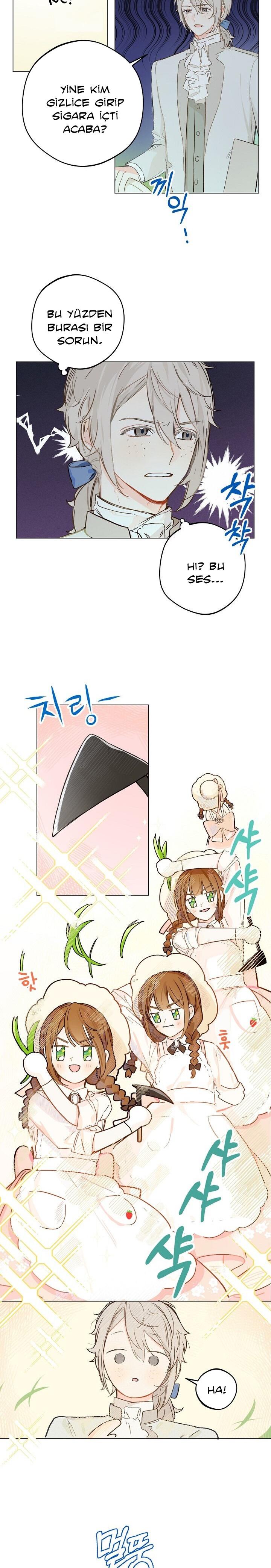 9-cmc1vvo430025phxcd4xhnki2