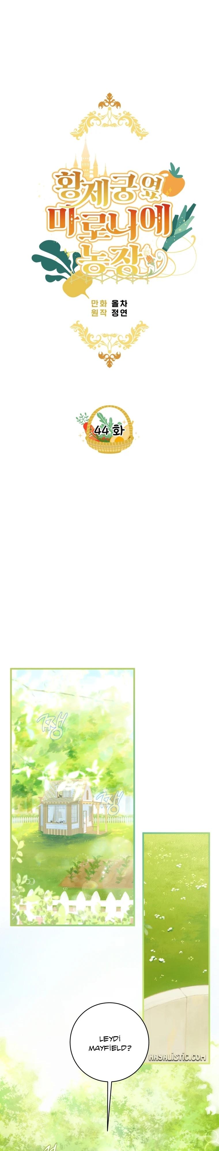 8-cmc1vvo430025phxcd4xhnki2