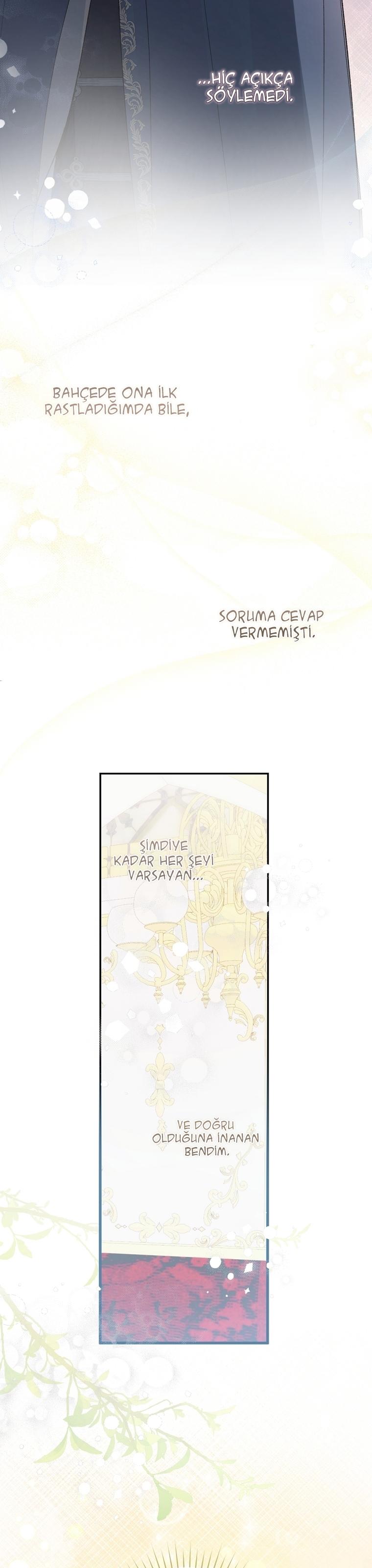 7-cmc1vvo430025phxcd4xhnki2