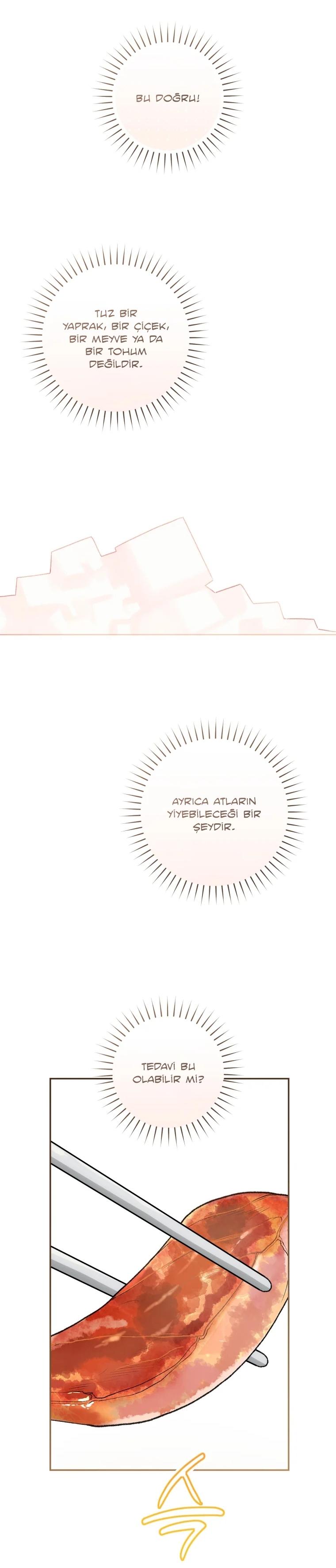 9-cmc1vvo430025phxcd4xhnki2