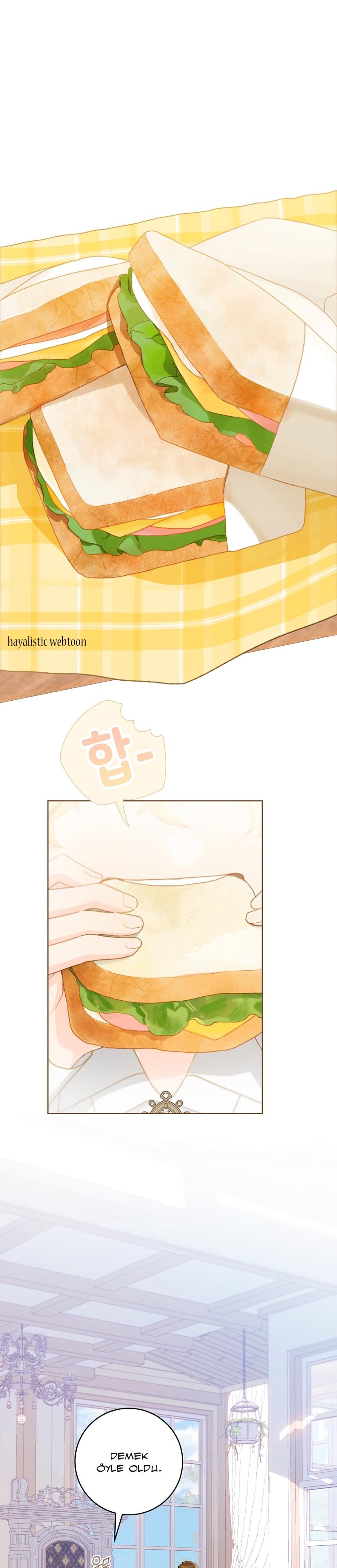 6-cmc1vvo430025phxcd4xhnki2
