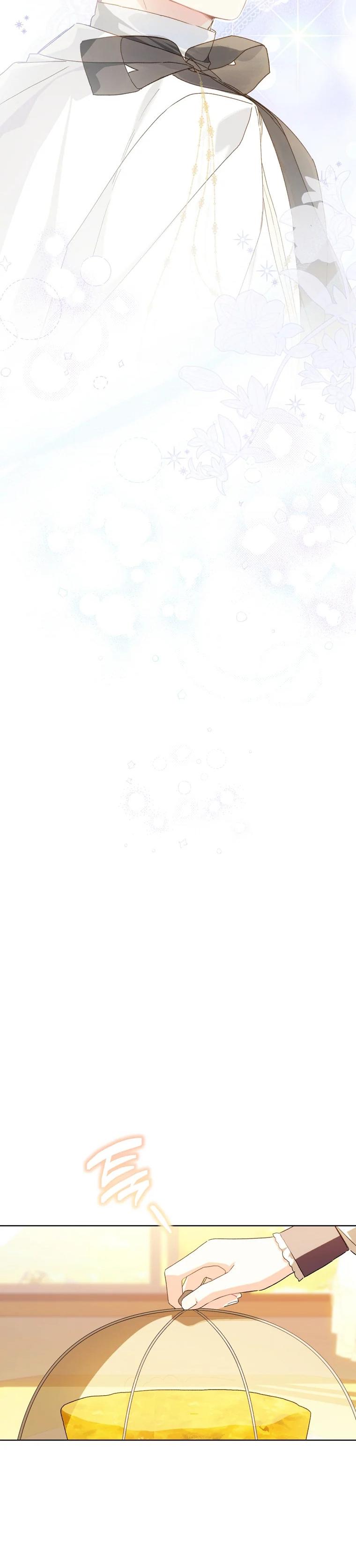 10-cmc1vvo430025phxcd4xhnki2