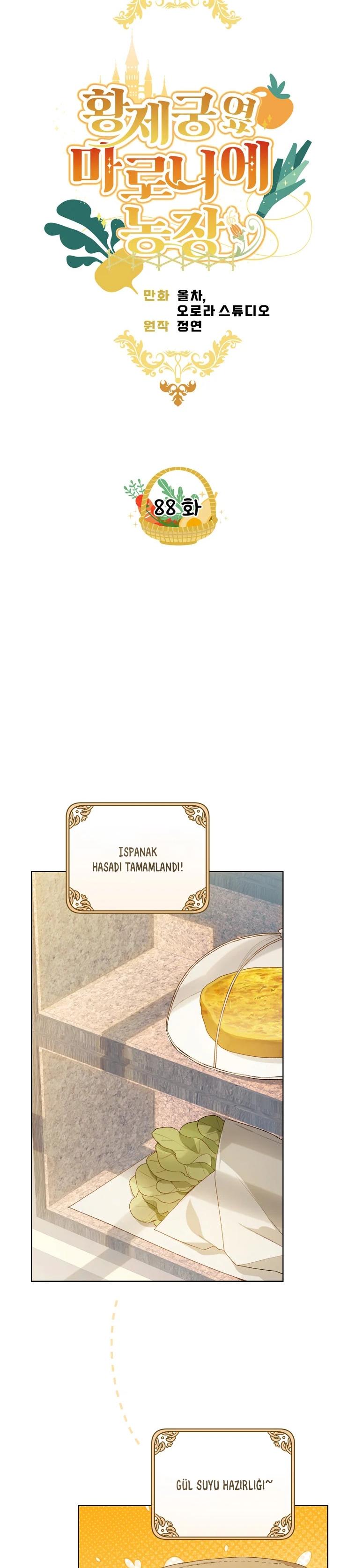 15-cmc1vvo430025phxcd4xhnki2