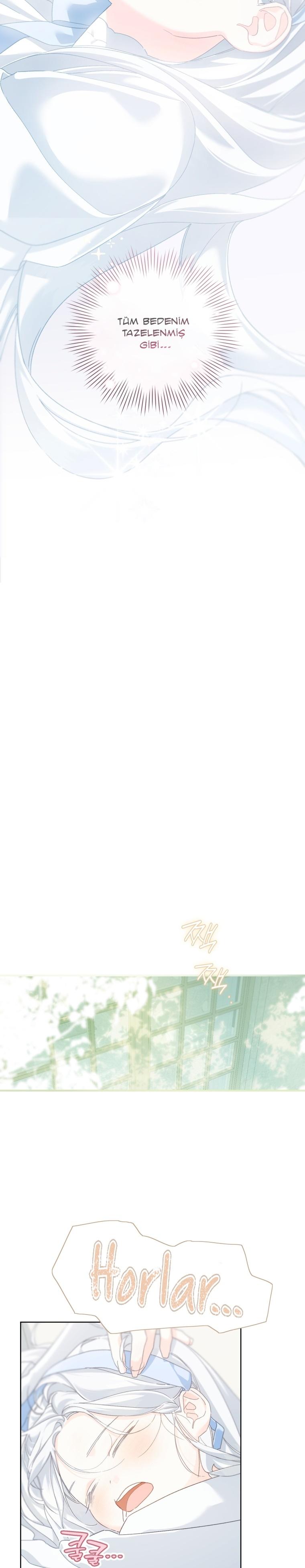 8-cmc1vvo430025phxcd4xhnki2