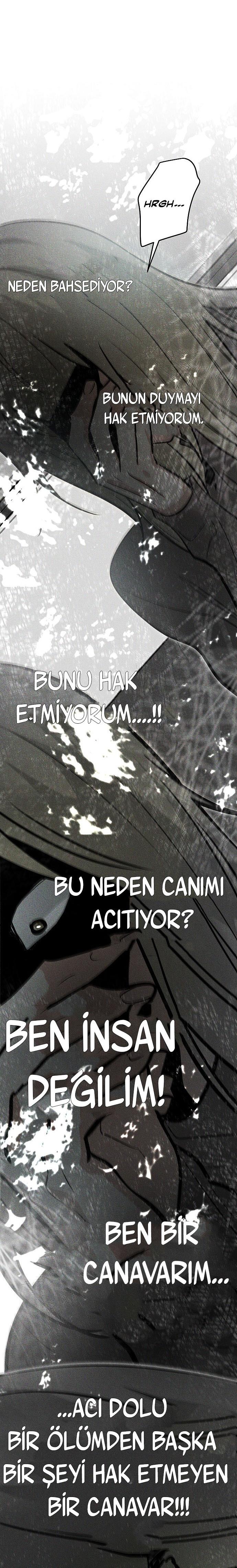 29-cmc1vvo430025phxcd4xhnki2