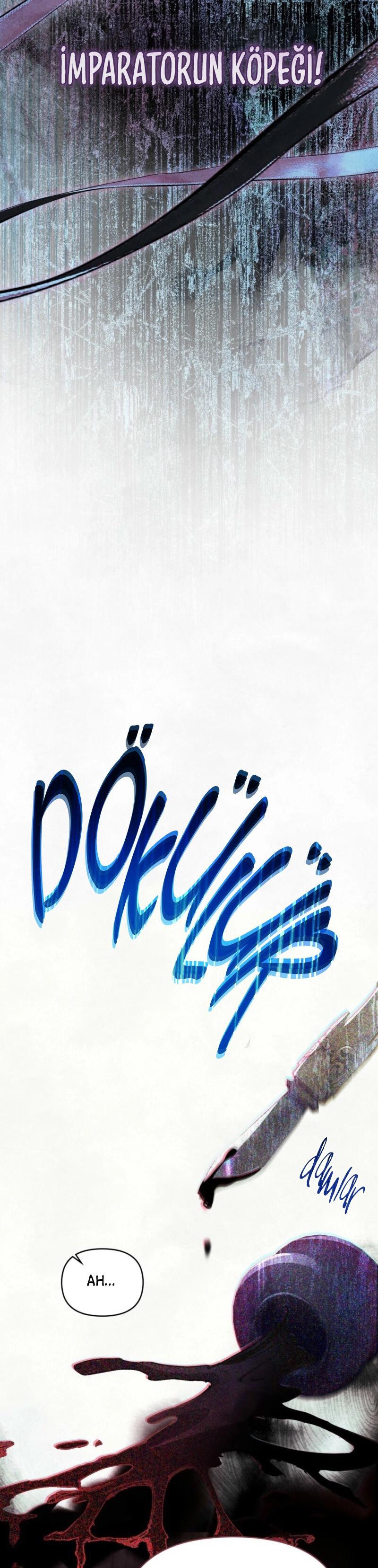 33-cm2xdfr0s0001tt82570od8ls