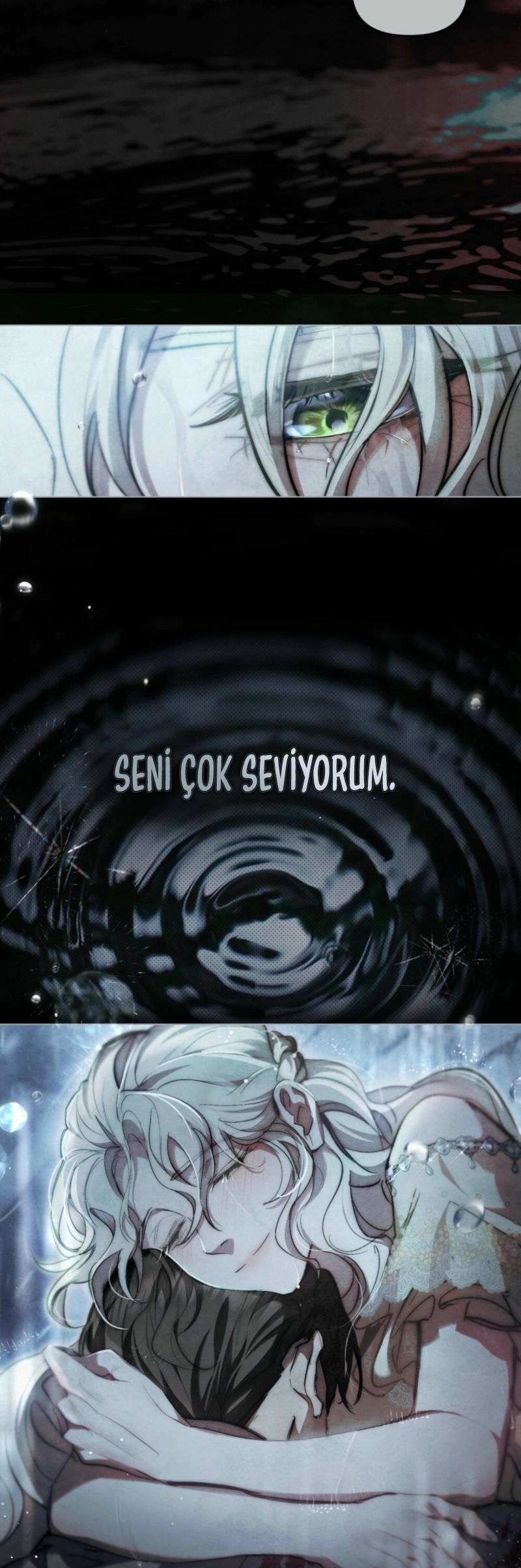 24-cm2xdfr0s0001tt82570od8ls