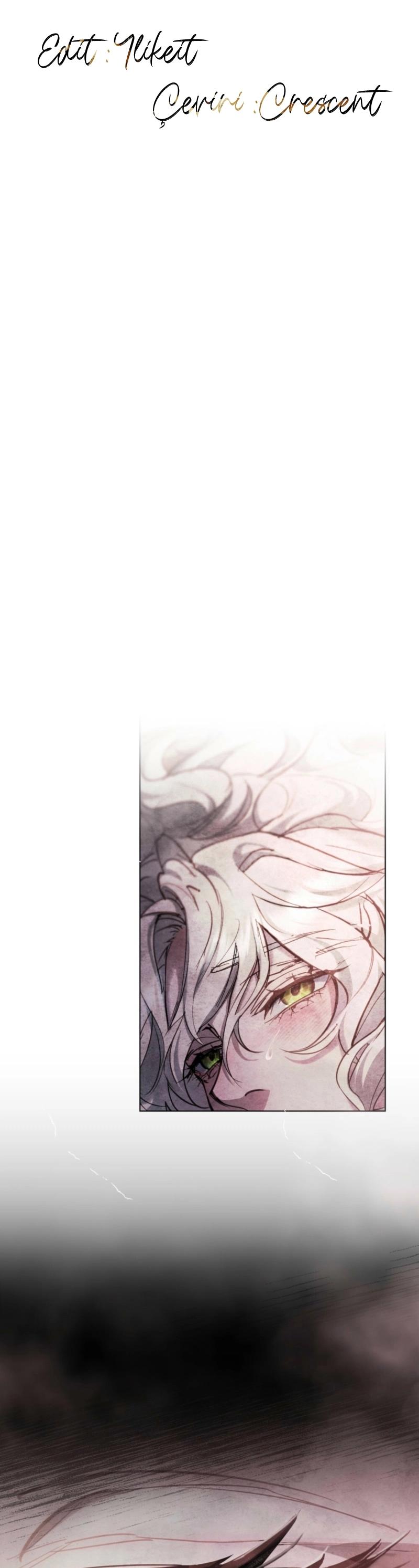 9-cm2xdfr0s0001tt82570od8ls