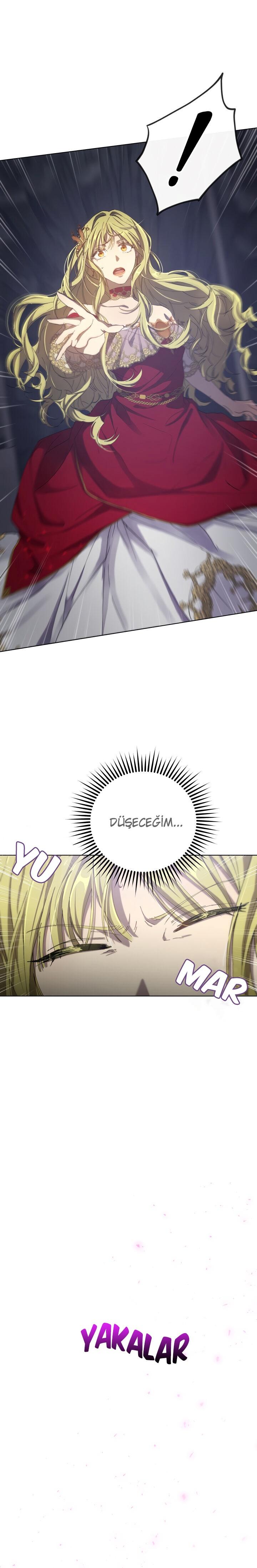 2-cm2xdfr0s0001tt82570od8ls