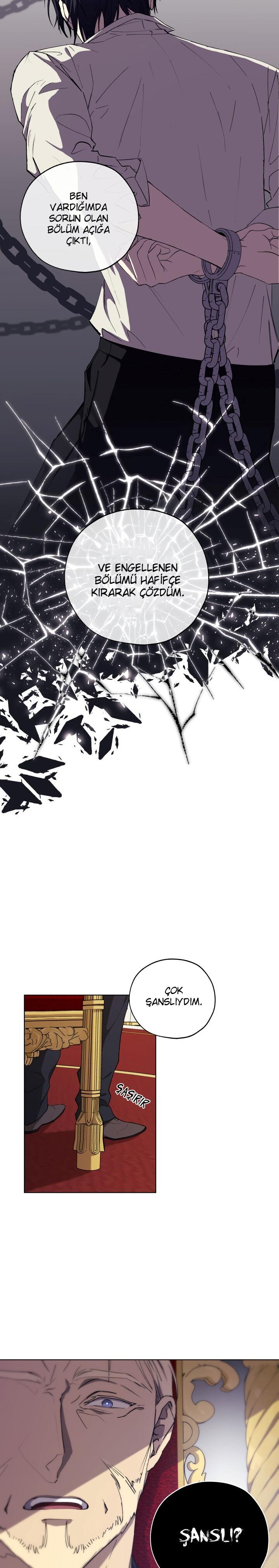 11-cm2xdfr0s0001tt82570od8ls