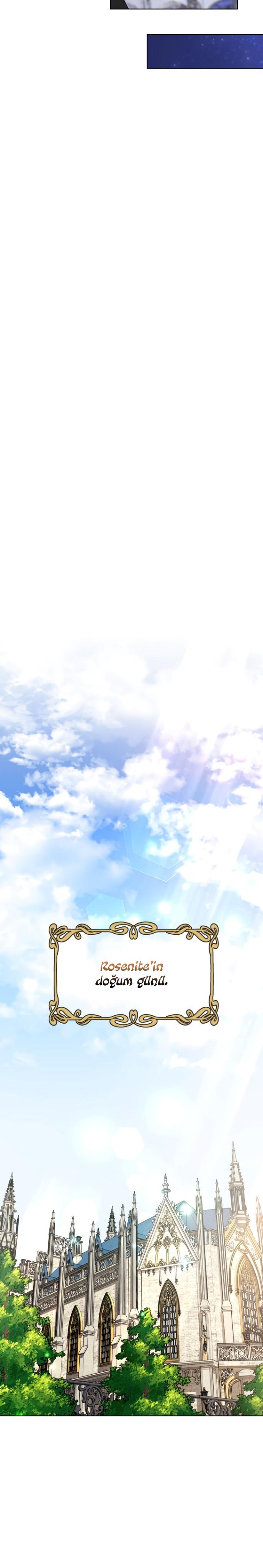 24-cm2xdfr0s0001tt82570od8ls
