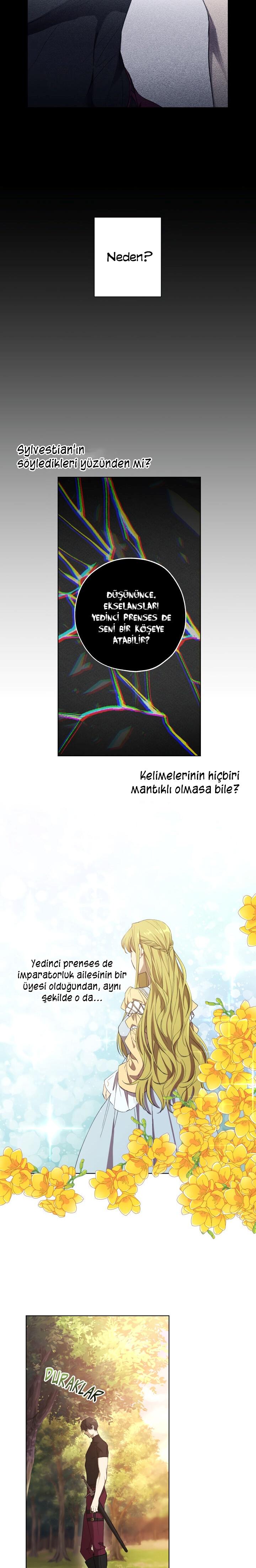7-cm2xdfr0s0001tt82570od8ls