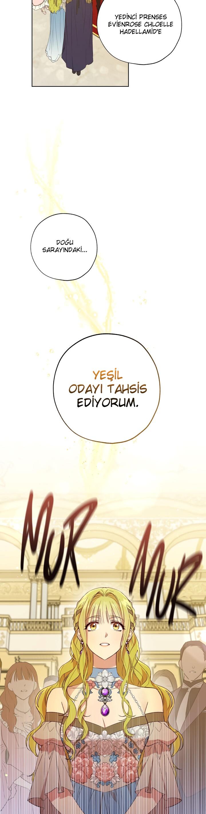 26-cm2xdfr0s0001tt82570od8ls