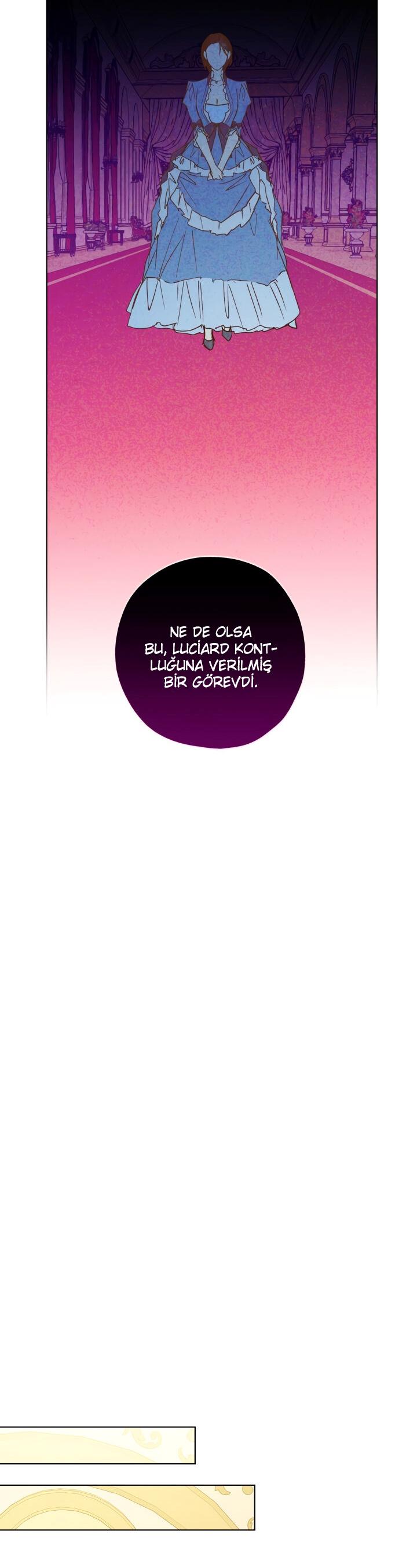 23-cm2xdfr0s0001tt82570od8ls