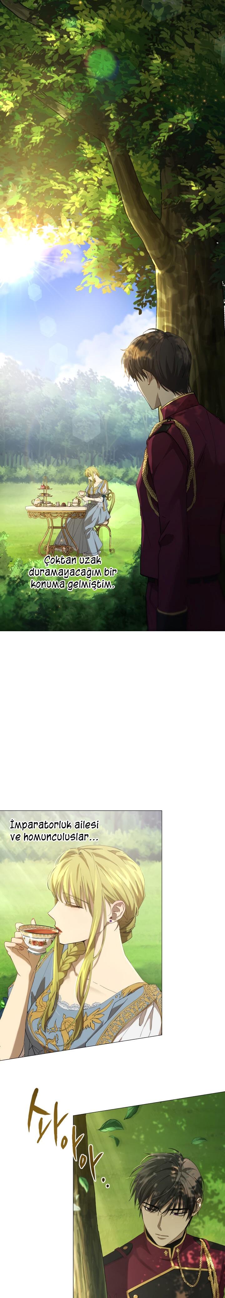 6-cm2xdfr0s0001tt82570od8ls