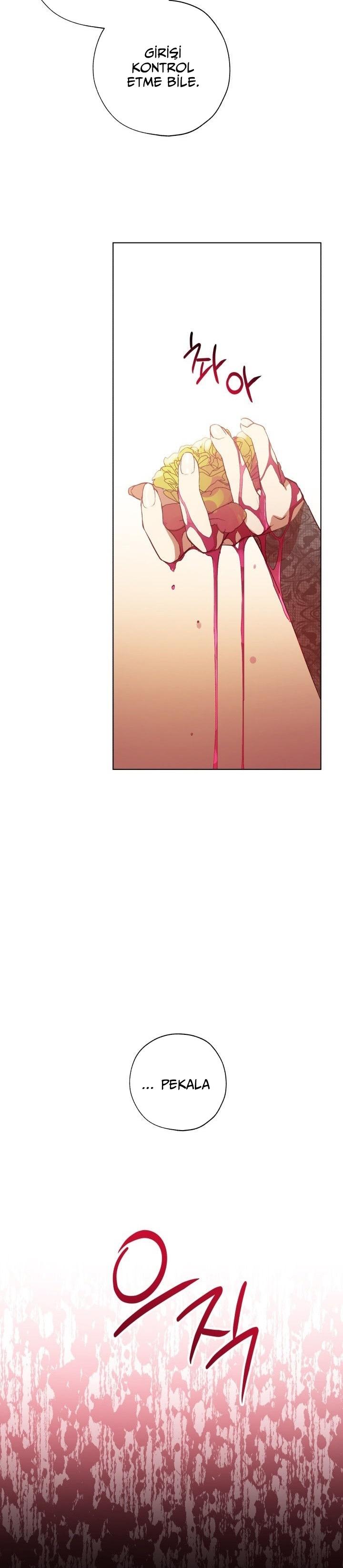 32-cm2xdfr0s0001tt82570od8ls
