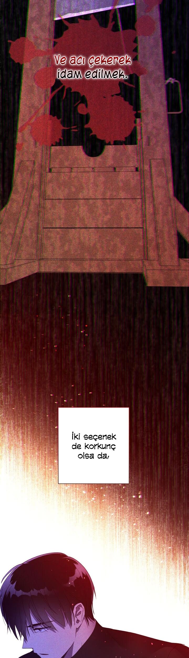 9-cm2xdfr0s0001tt82570od8ls