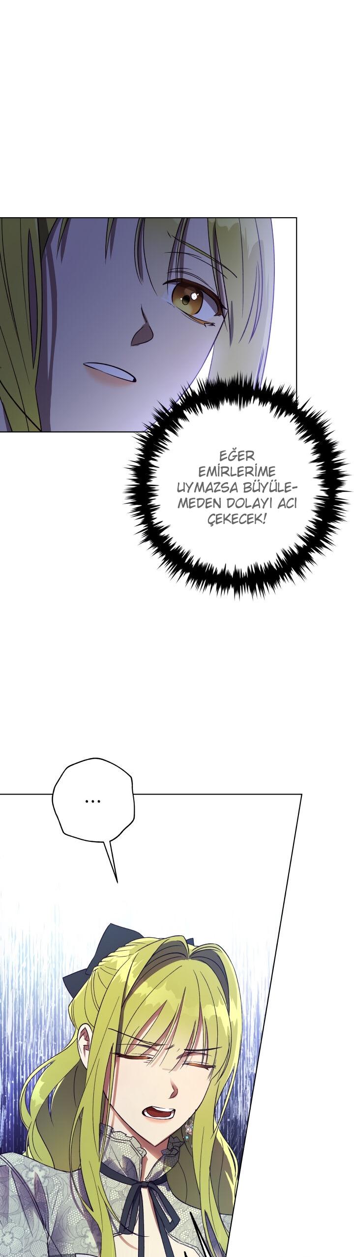 24-cm2xdfr0s0001tt82570od8ls
