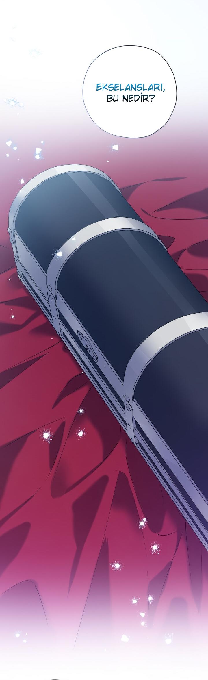 36-cm2xdfr0s0001tt82570od8ls