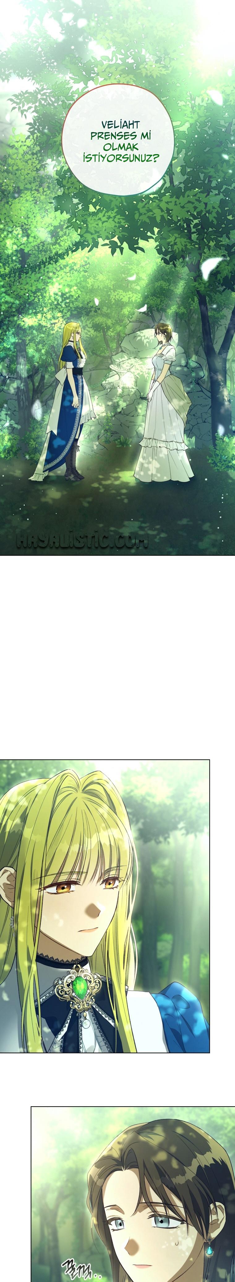 2-cm2xdfr0s0001tt82570od8ls