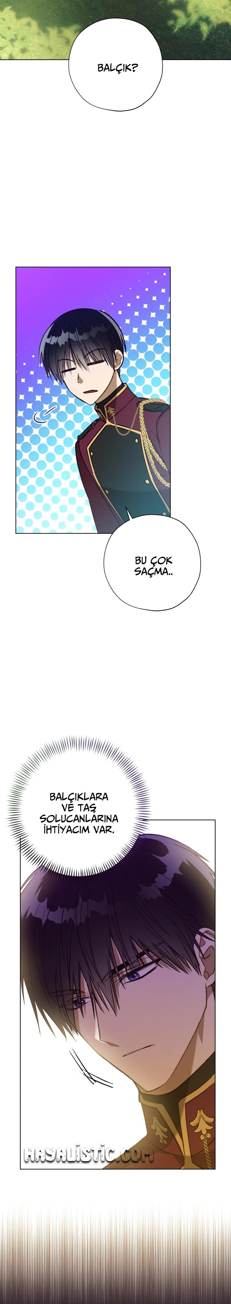 21-cm2xdfr0s0001tt82570od8ls