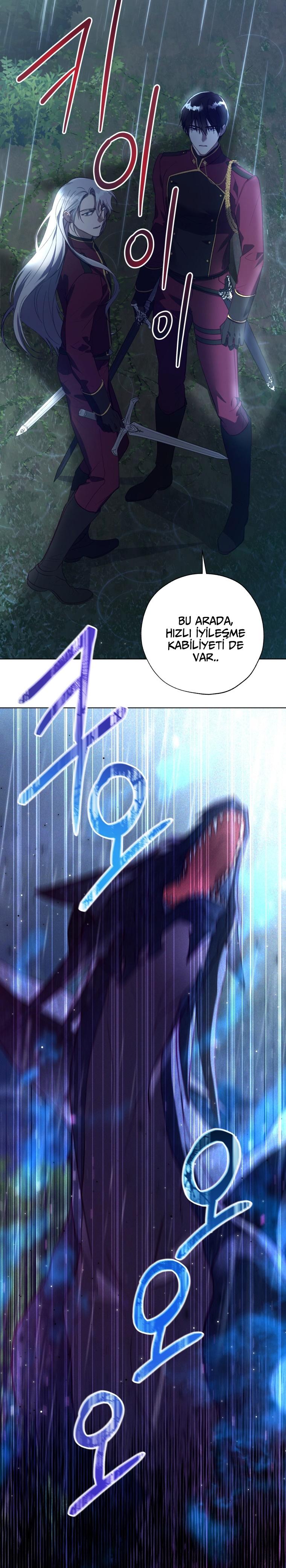 11-cm2xdfr0s0001tt82570od8ls
