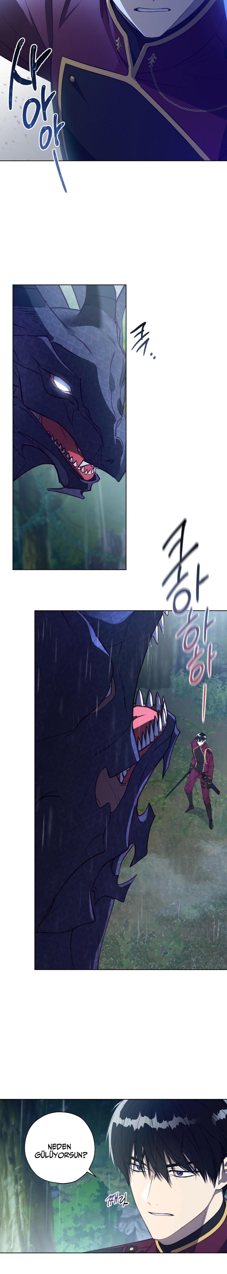 23-cm2xdfr0s0001tt82570od8ls