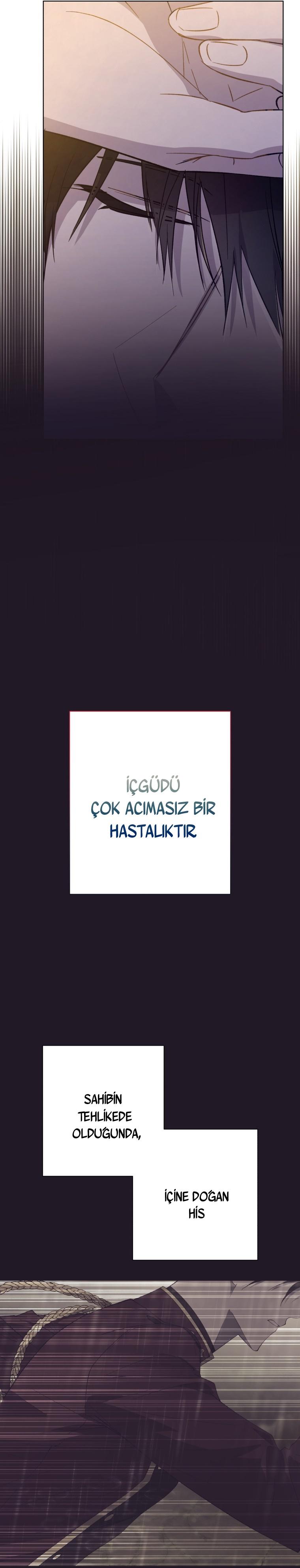 17-cm2xdfr0s0001tt82570od8ls