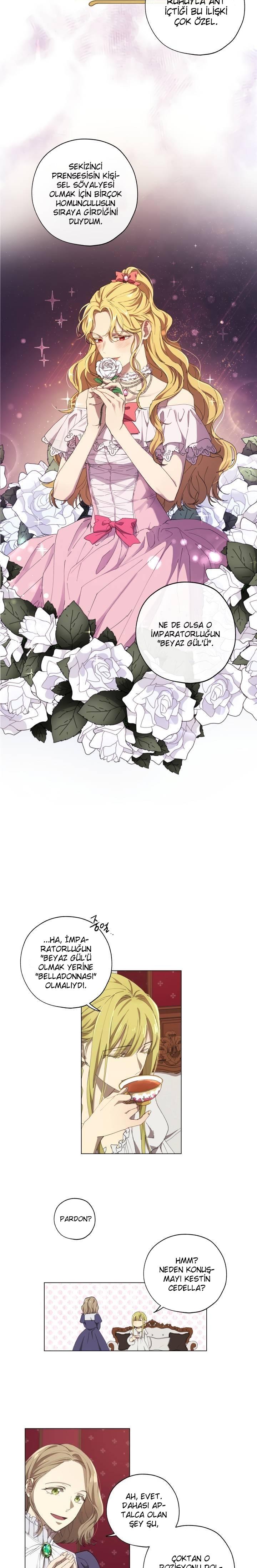 6-cm2xdfr0s0001tt82570od8ls
