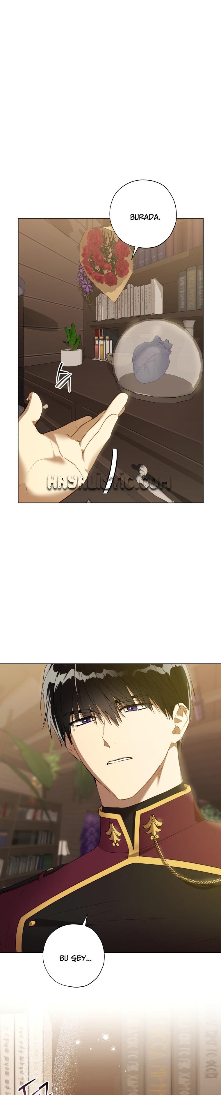 17-cm2xdfr0s0001tt82570od8ls
