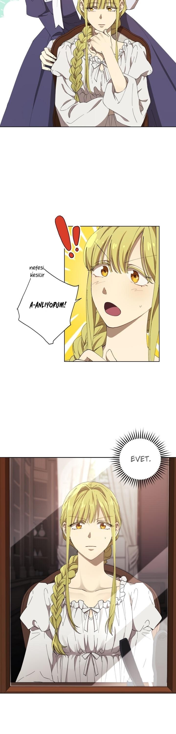 11-cm2xdfr0s0001tt82570od8ls