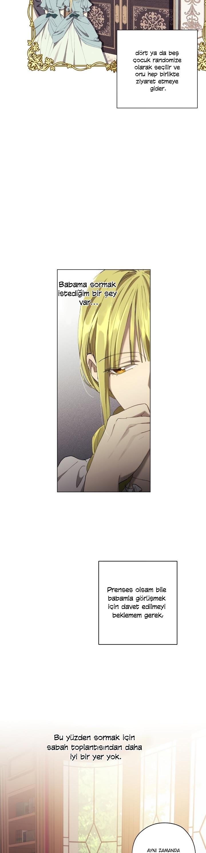 3-cm2xdfr0s0001tt82570od8ls